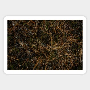 Autumn Forest Floor Sticker